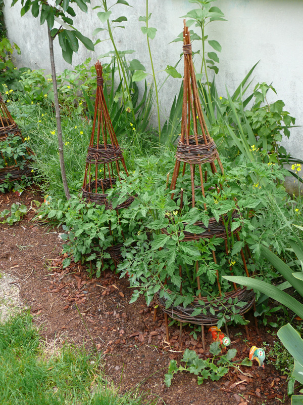 tuteur-tomates