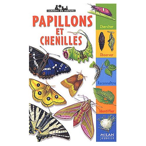 papillons-livre-enfant