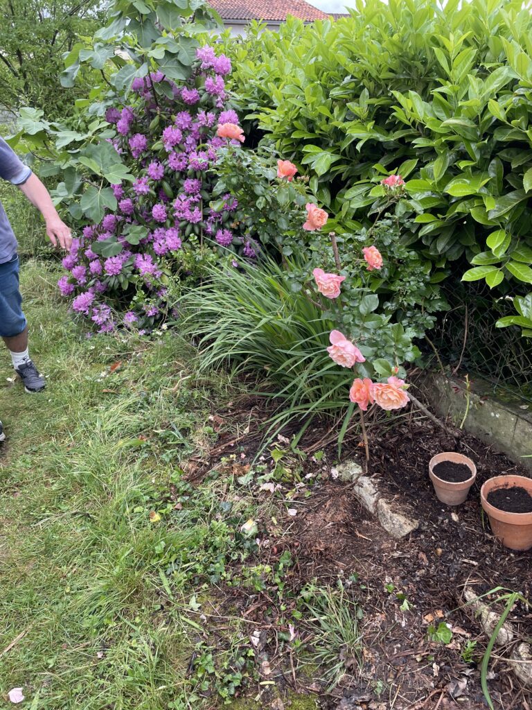 jardinage
